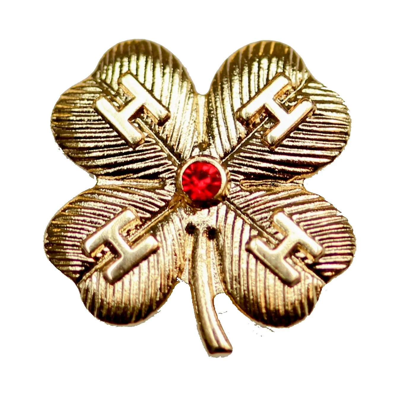 50 Year Ruby Award Pin