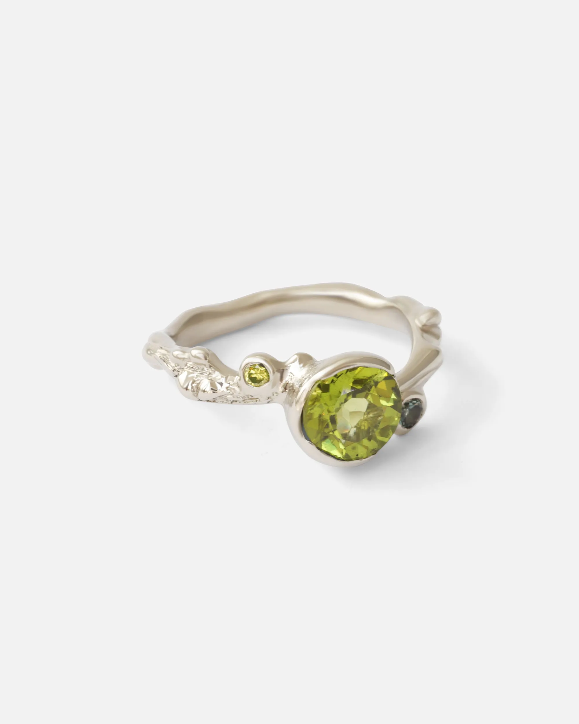 Larch Ring / Bloom